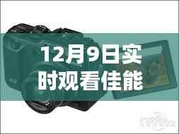 12月9日佳能相机实拍欣赏，捕捉美妙瞬间的实时照片
