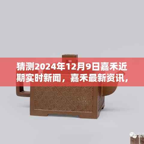 预测与获取2024年12月9日嘉禾实时新闻及最新资讯