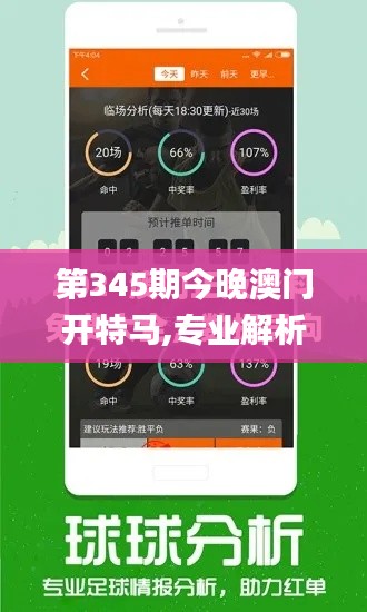 第345期今晚澳门开特马,专业解析说明_纪念版4.487