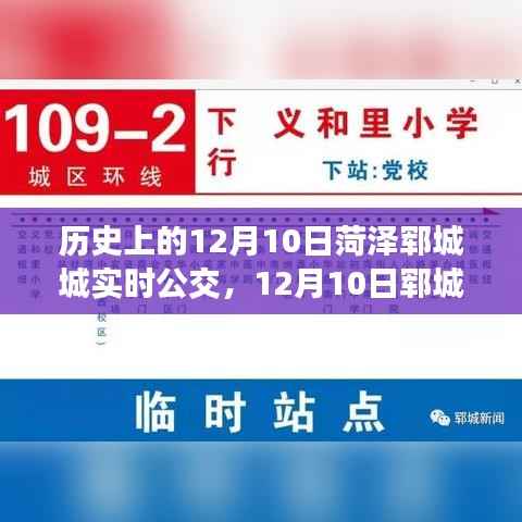 菏泽郓城公交之旅，追寻自然美景与内心平静之道（12月10日实时公交指南）