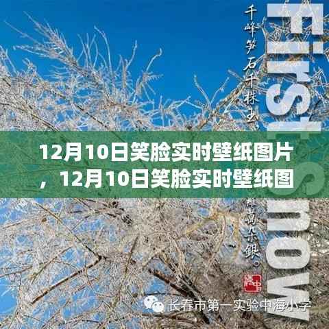 12月10日笑脸实时壁纸图片,温馨选择与优化策略