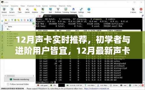 12月最新声卡推荐与使用指南,适合初学者与进阶用户