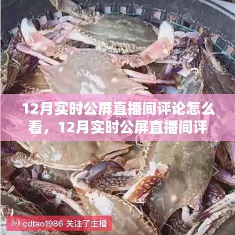 掌握观看技巧，12月实时公屏直播间评论全攻略