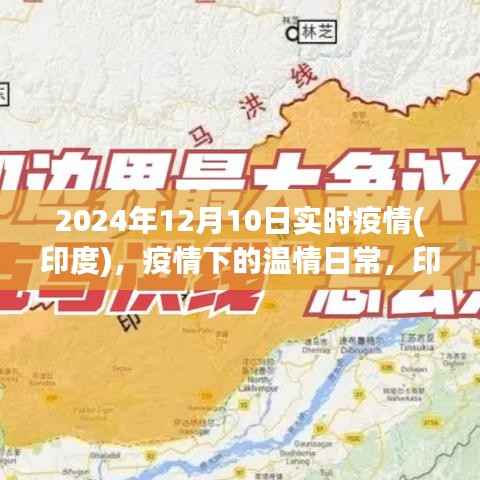 印度疫情下的温情日常，疫情下的印度之旅记录（实时更新至2024年）