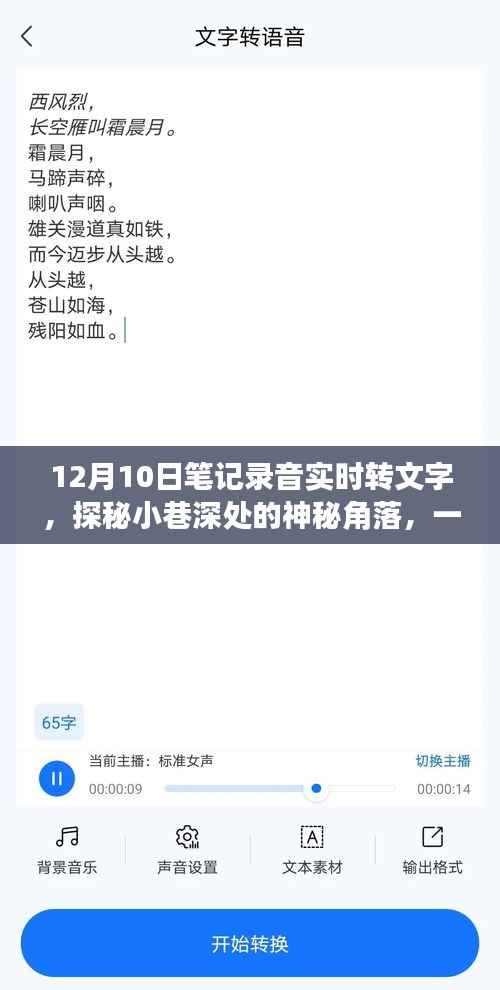 探秘录音深处的文字魔法,神秘小巷的录音转文字小店揭秘
