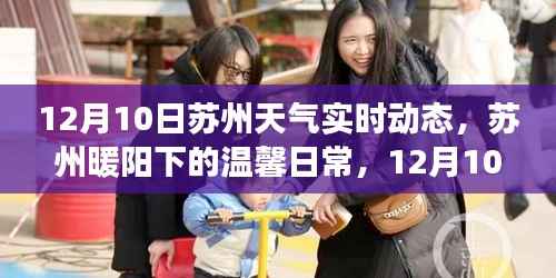 苏州暖阳下的友情故事,12月10日天气实时动态与温馨日常