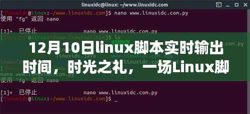 时光之礼,Linux脚本的实时时间之旅