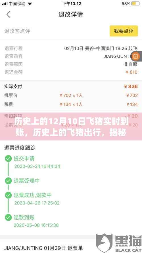 揭秘飞猪出行十二月十日实时到账背后的故事与历史发展