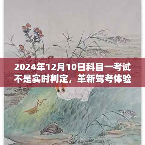 非实时判定系统革新驾考体验，科目一考试新篇章的智能之旅