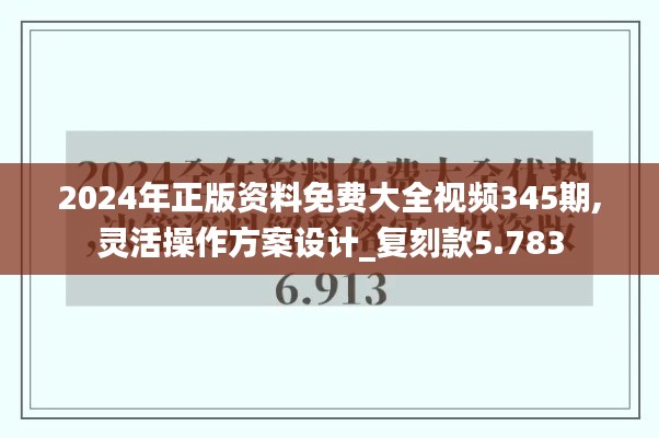 2024年正版资料免费大全视频345期,灵活操作方案设计_复刻款5.783