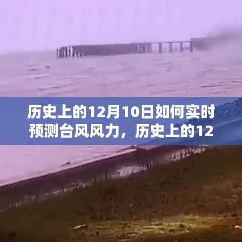 历史上的12月10日台风风力实时预测指南,初学者与进阶用户的必备指南