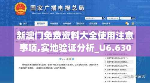 新澳门免费资料大全使用注意事项,实地验证分析_U6.630