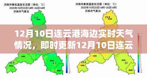 冬日海边实时风情,连云港海域12月10日天气详解
