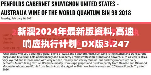 新澳2024年最新版资料,高速响应执行计划_DX版3.247
