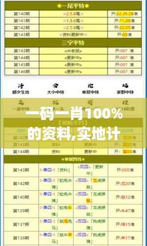 一码一肖100%的资料,实地计划验证策略_S13.769