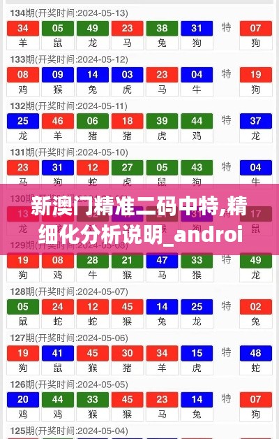 新澳门精准二码中特,精细化分析说明_android3.831