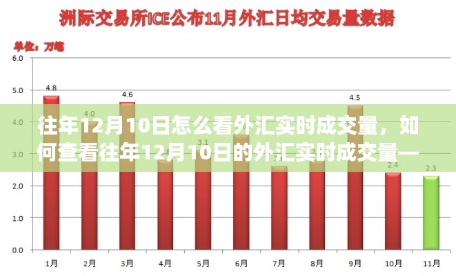 往年12月10日外汇实时成交量查看指南,步骤解析与操作教程