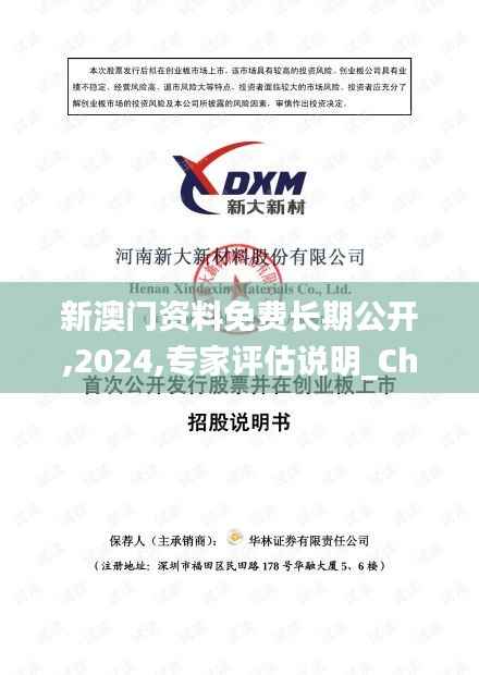 新澳门资料免费长期公开,2024,专家评估说明_Chromebook8.721