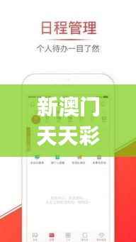 新澳门天天彩正版免费,全面评估解析说明_移动版3.750