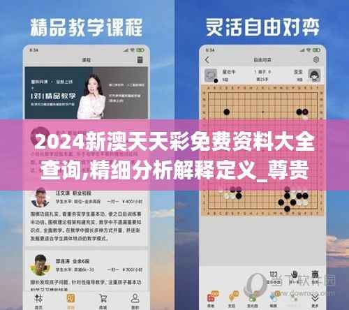 2024新澳天天彩免费资料大全查询,精细分析解释定义_尊贵款3.212