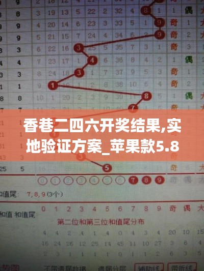 香巷二四六开奖结果,实地验证方案_苹果款5.806