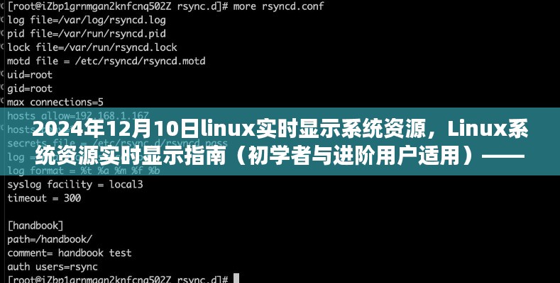 Linux系统资源实时显示指南,从初学者到进阶用户的实用指南(2024年12月10日版)
