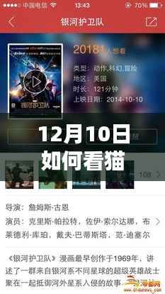 揭秘猫眼电影实时放票攻略,掌握12月10日电影票务动态,轻松观影!