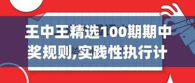 王中王精选100期期中奖规则,实践性执行计划_X版3.268