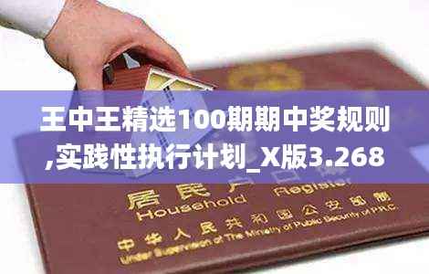 王中王精选100期期中奖规则,实践性执行计划_X版3.268