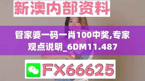 管家婆一码一肖100中奖,专家观点说明_6DM11.487