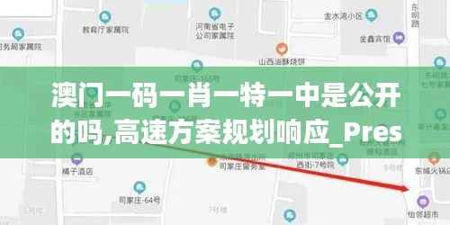 澳门一码一肖一特一中是公开的吗,高速方案规划响应_Prestige6.770