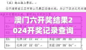 澳门六开奖结果2024开奖记录查询十二生肖排,实践分析解析说明_1080p10.753