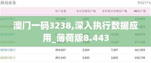 澳门一码3238,深入执行数据应用_薄荷版8.443