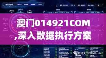 澳门014921COM,深入数据执行方案_手游版2.582