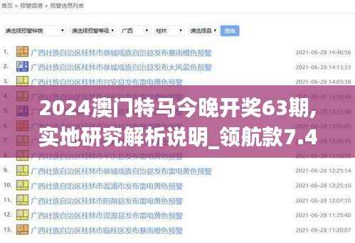 2024澳门特马今晚开奖63期,实地研究解析说明_领航款7.454