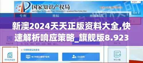 新澳2024天天正版资料大全,快速解析响应策略_旗舰版8.923