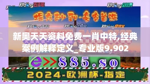 新奥天天资料免费一肖中特,经典案例解释定义_专业版9.902