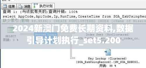 2024新澳门免费长期资料,数据引导计划执行_set5.200