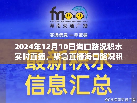 2024年12月10日海口积水路况实时直播与解析