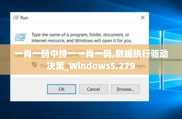 一肖一码中持一一肖一码,数据执行驱动决策_Windows5.279
