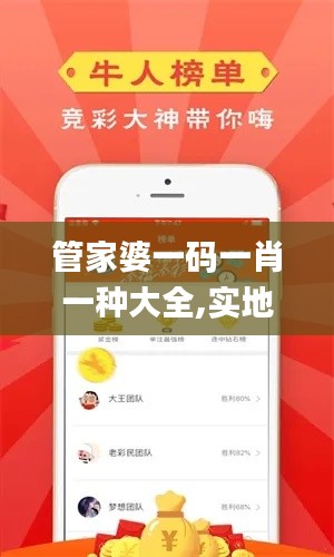 管家婆一码一肖一种大全,实地验证方案_suite1.385