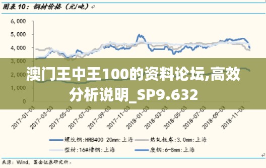 澳门王中王100的资料论坛,高效分析说明_SP9.632