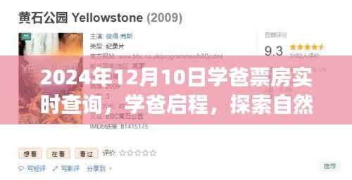 揭秘学爸旅程，探索自然美景，实时票房追踪