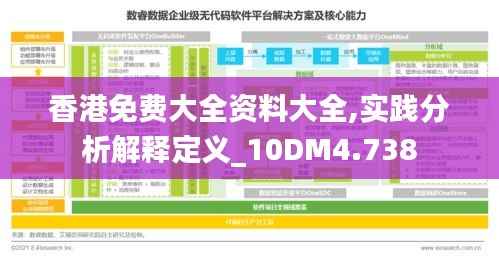 香港免费大全资料大全,实践分析解释定义_10DM4.738