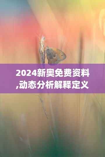 2024新奥免费资料,动态分析解释定义_MP3.658