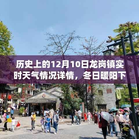 冬日暖阳下的龙岗情缘，历史天气与友情故事交织的温馨篇章