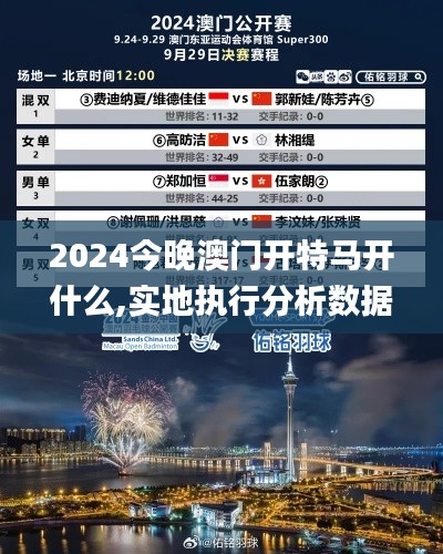 2024今晚澳门开特马开什么,实地执行分析数据_Z4.594