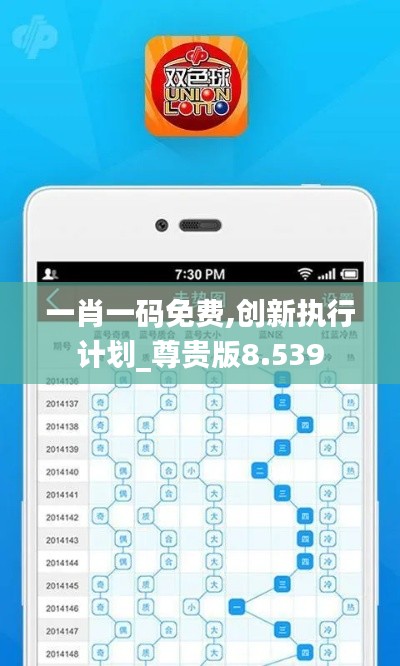 一肖一码免费,创新执行计划_尊贵版8.539