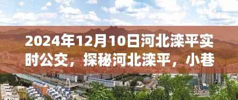 河北滦平公交美食秘境探秘,实时公交与隐藏美食之旅(2024年12月10日)