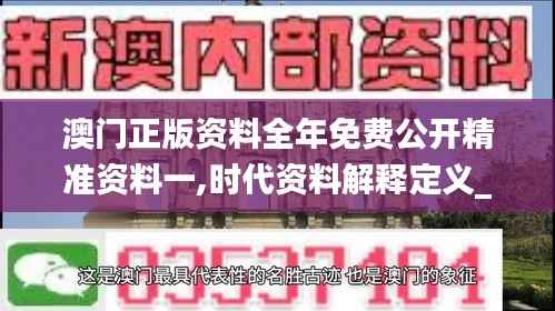 澳门正版资料全年免费公开精准资料一,时代资料解释定义_XR18.944